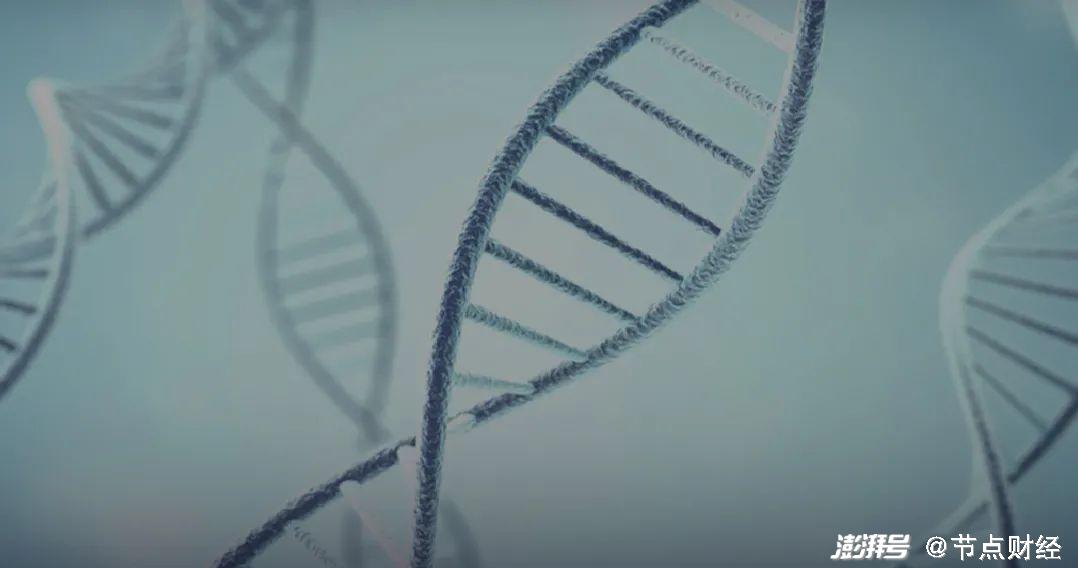 泛生子上市后首份年报出炉,营收增31.3%加速领跑