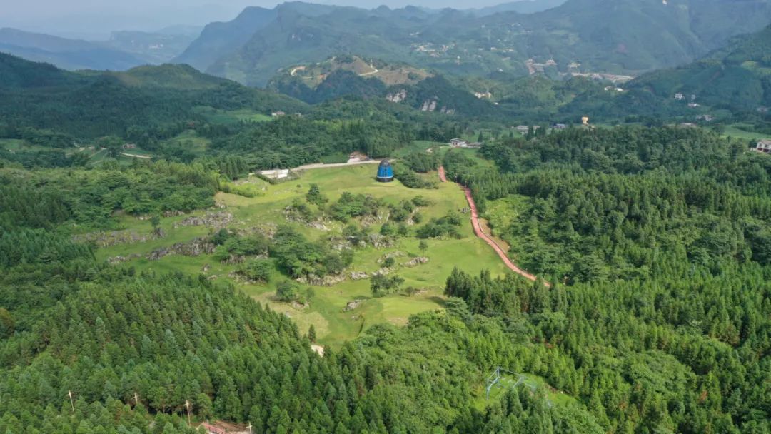 創建天府旅遊名縣即將完工興文僰王山最美竹林風景線將大改變