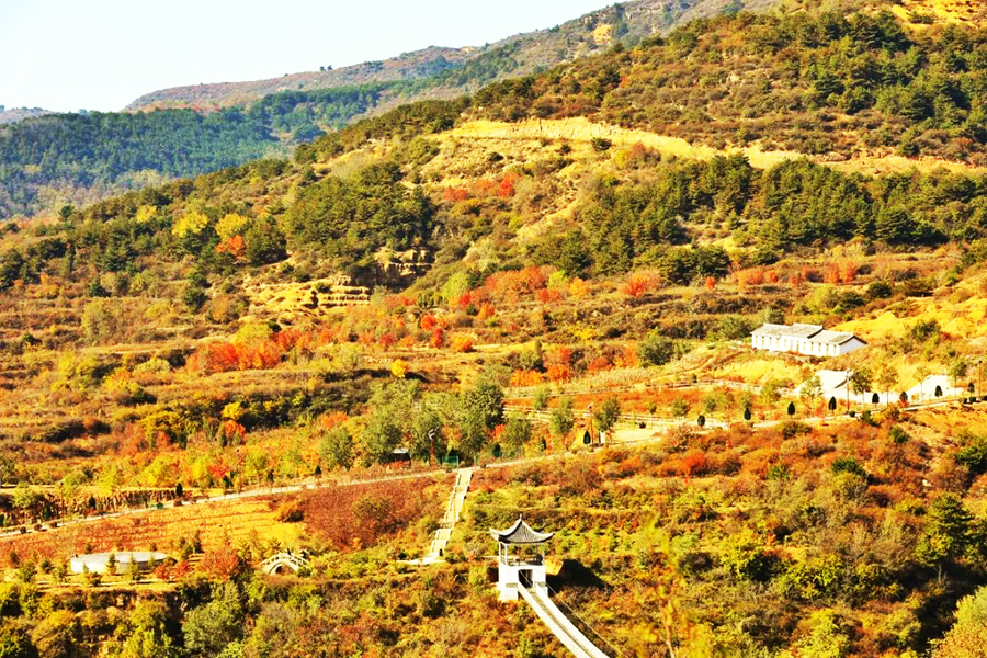 太出片!长治振兴小镇秋日温柔"写真"出炉
