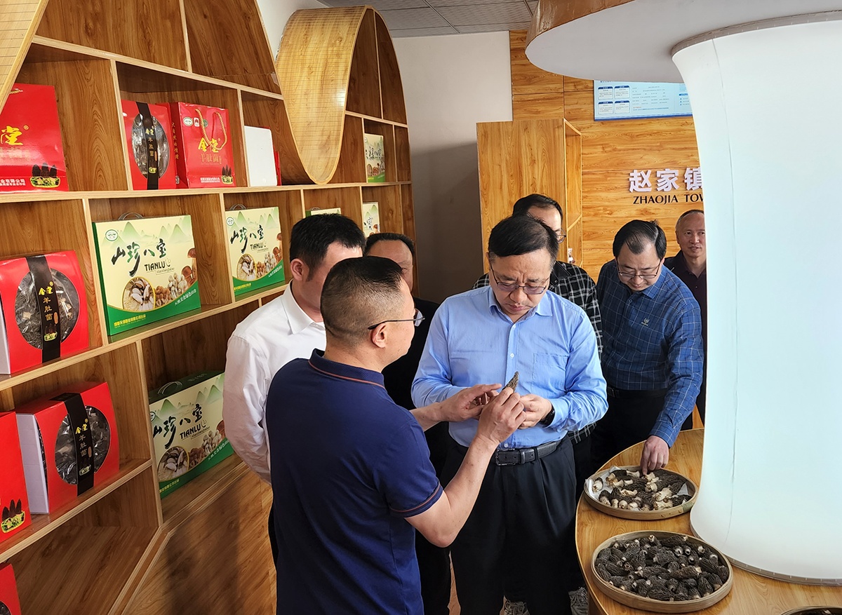 刘洪彬率队检查四川食品安全穿透式监管工作