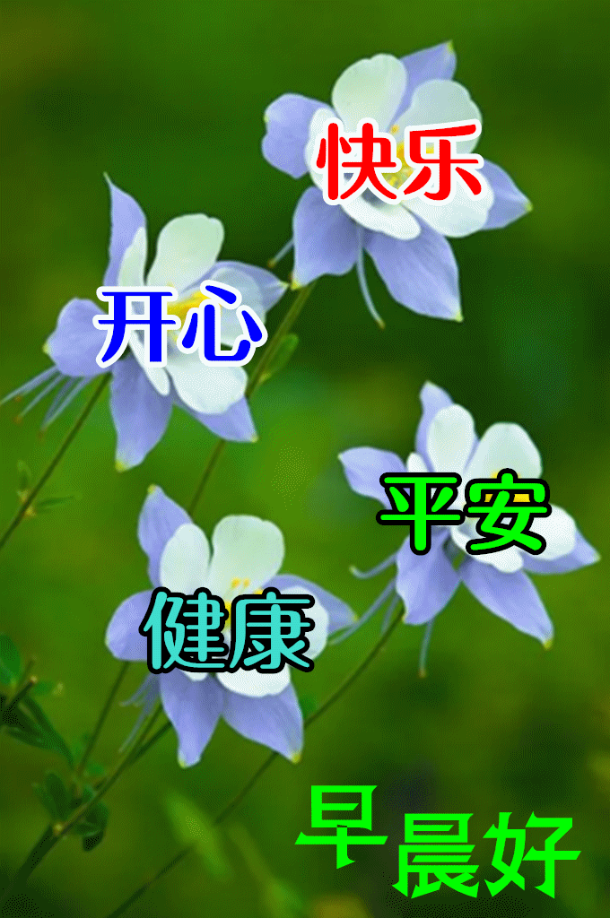 暖心的早安问候美句,早上好祝福带字图片