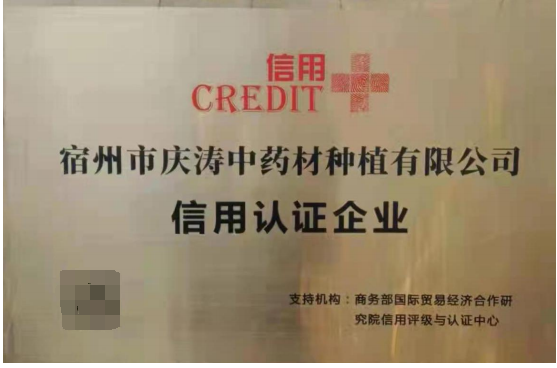 陈开才——「大国艺术 中外交流」·著名中医