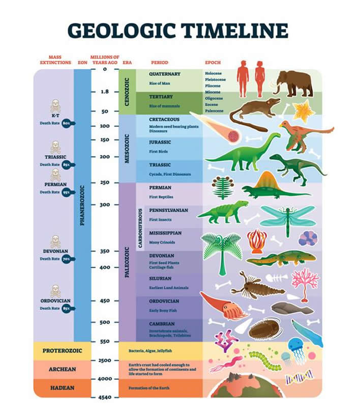 人类自诞生后就开始造成物种灭绝 并引起第六次地球生物大灭绝