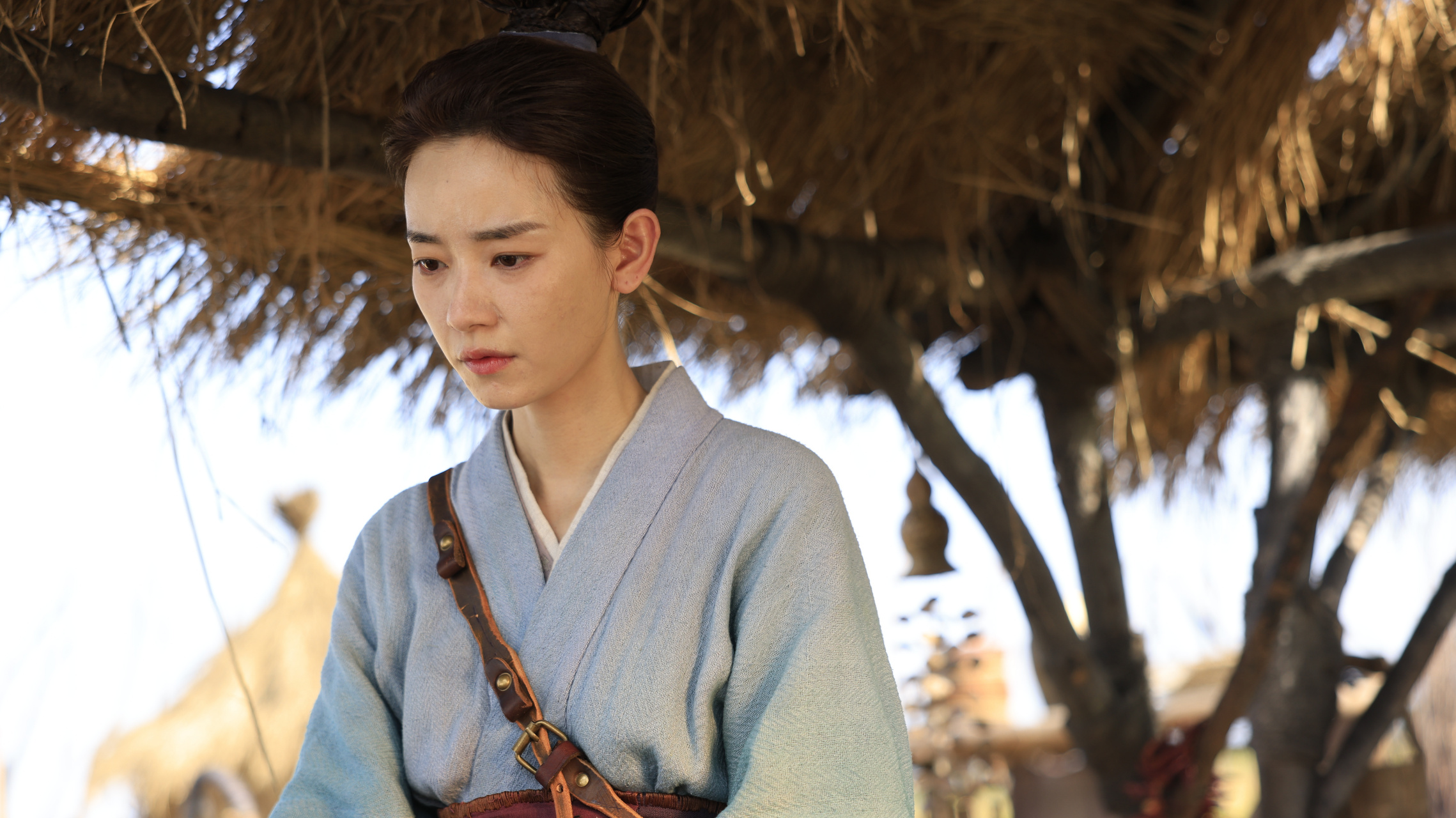 刘雅瑟:为流浪狗呐喊,揭示爱与理解的真相