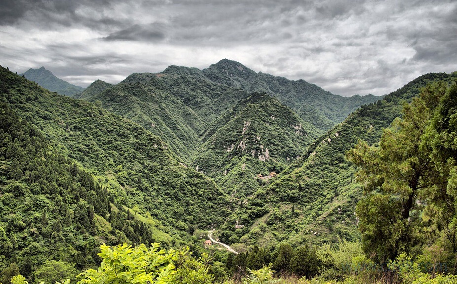 子午谷奇谋,就算失败也只损失五千,诸葛亮就这么不敢冒险吗?