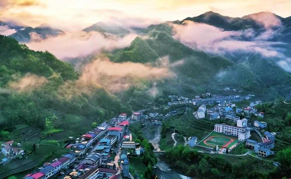 平利县正阳镇:创业帮扶促振兴 群贤共建展新风