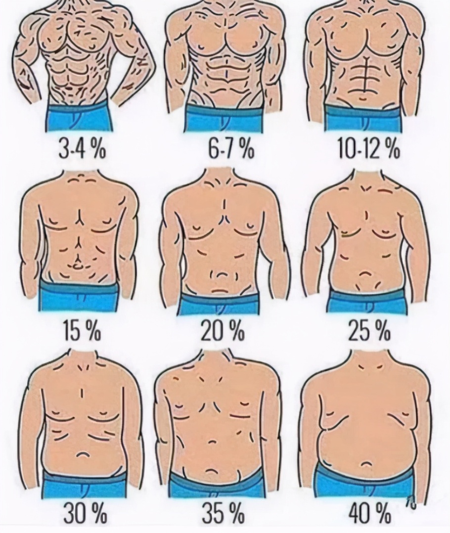 体脂率从27%降到15,一般要多长时间