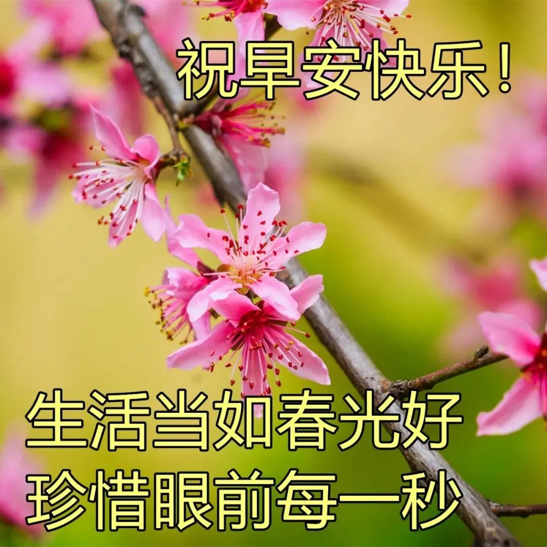 特别漂亮的唯美温馨早上问候图片 适合早上群发早上好问候语录