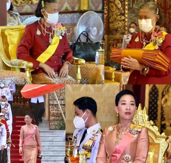 帕公主醒不了?育坤家族面临危机,育坤家族将失去资格