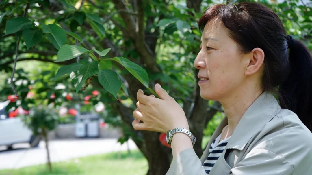 最美教师|三尺讲台勤耕耘,满园桃李香自来——王凤琴