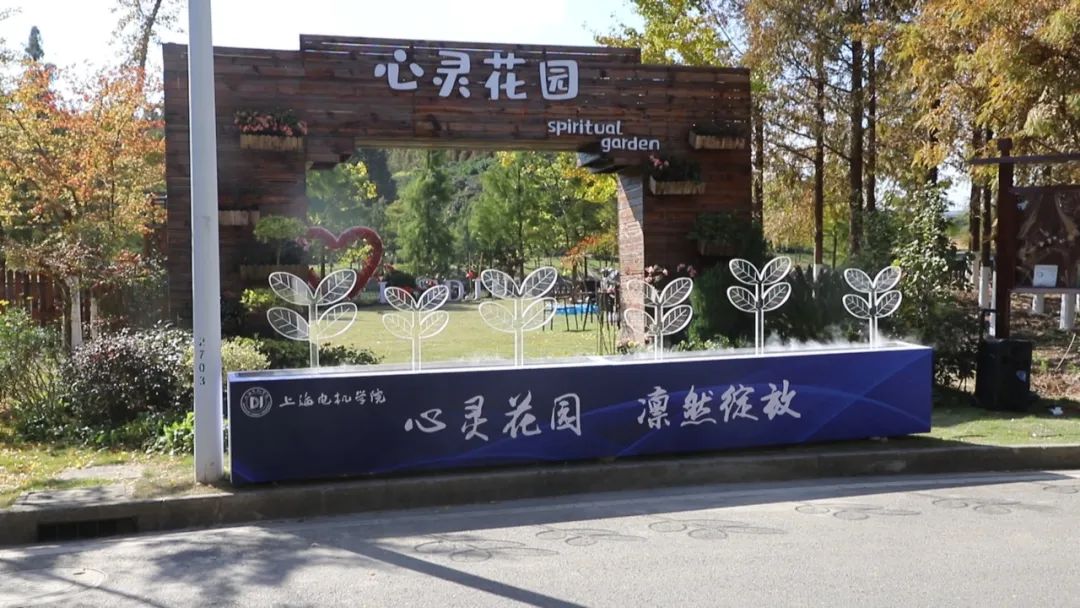 自己种菜自己吃!浦东这所高校里,有个学生的"心灵花园"