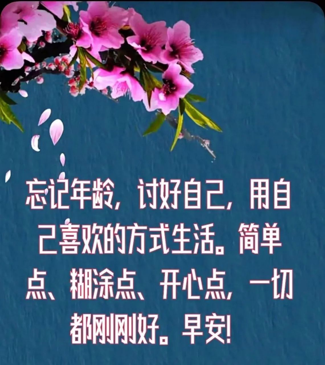 早上好  相聚一个群走到一起是缘分,要珍惜.