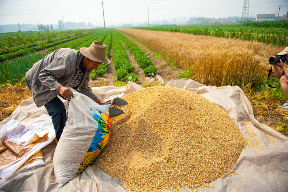 7月农村"缴费潮"!村干部上门收取3种费用,你准备好了吗?