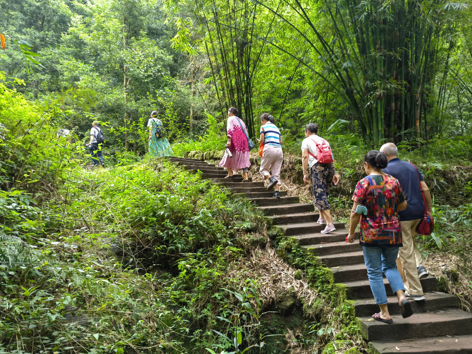 成都周边户外登山体验,周末旅游好去处,这三条线路不远还没门票