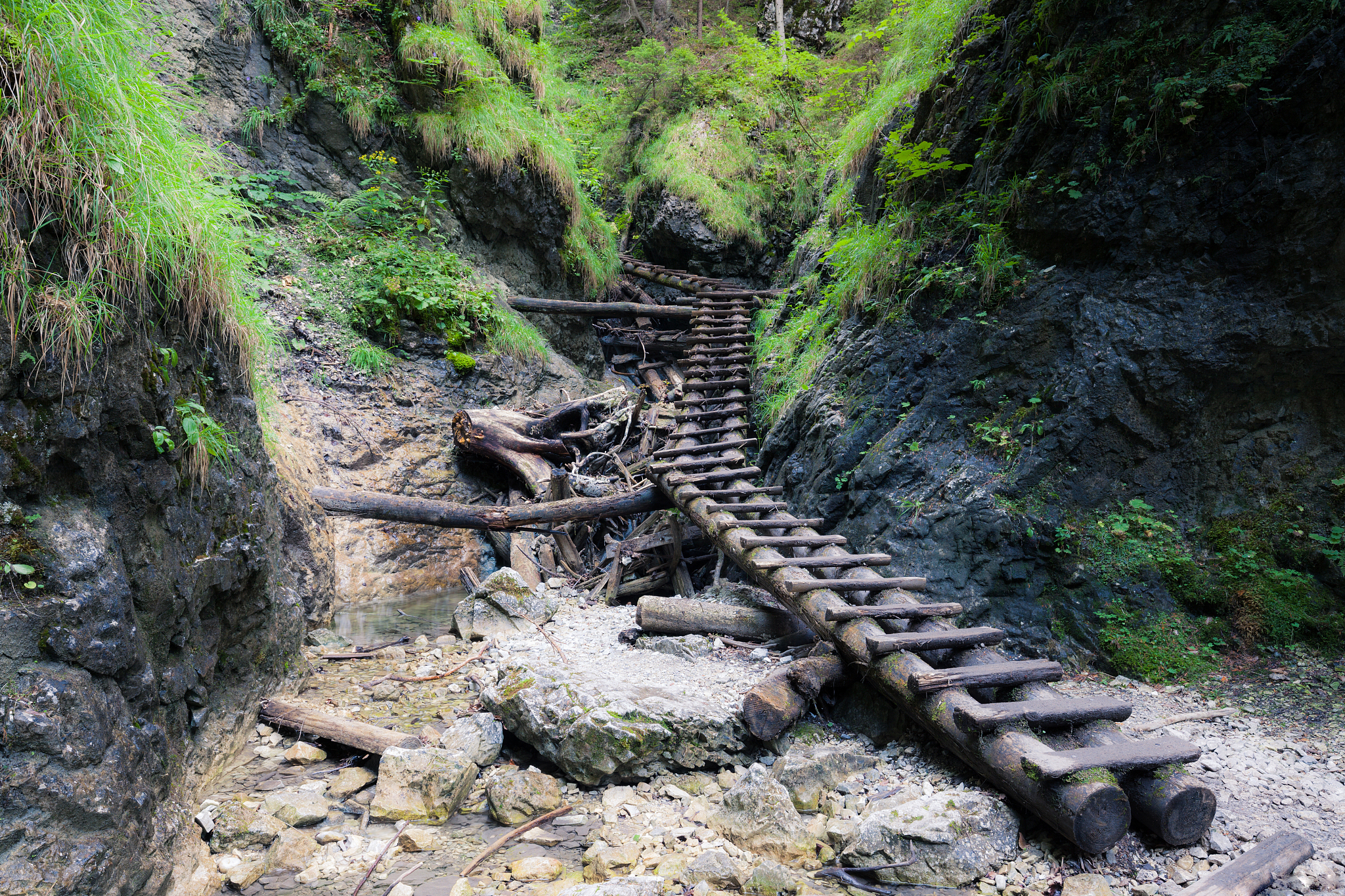 神秘的甘洛清溪峡古道,青苔藓蔓,古树参天,仿佛不属于这个世界