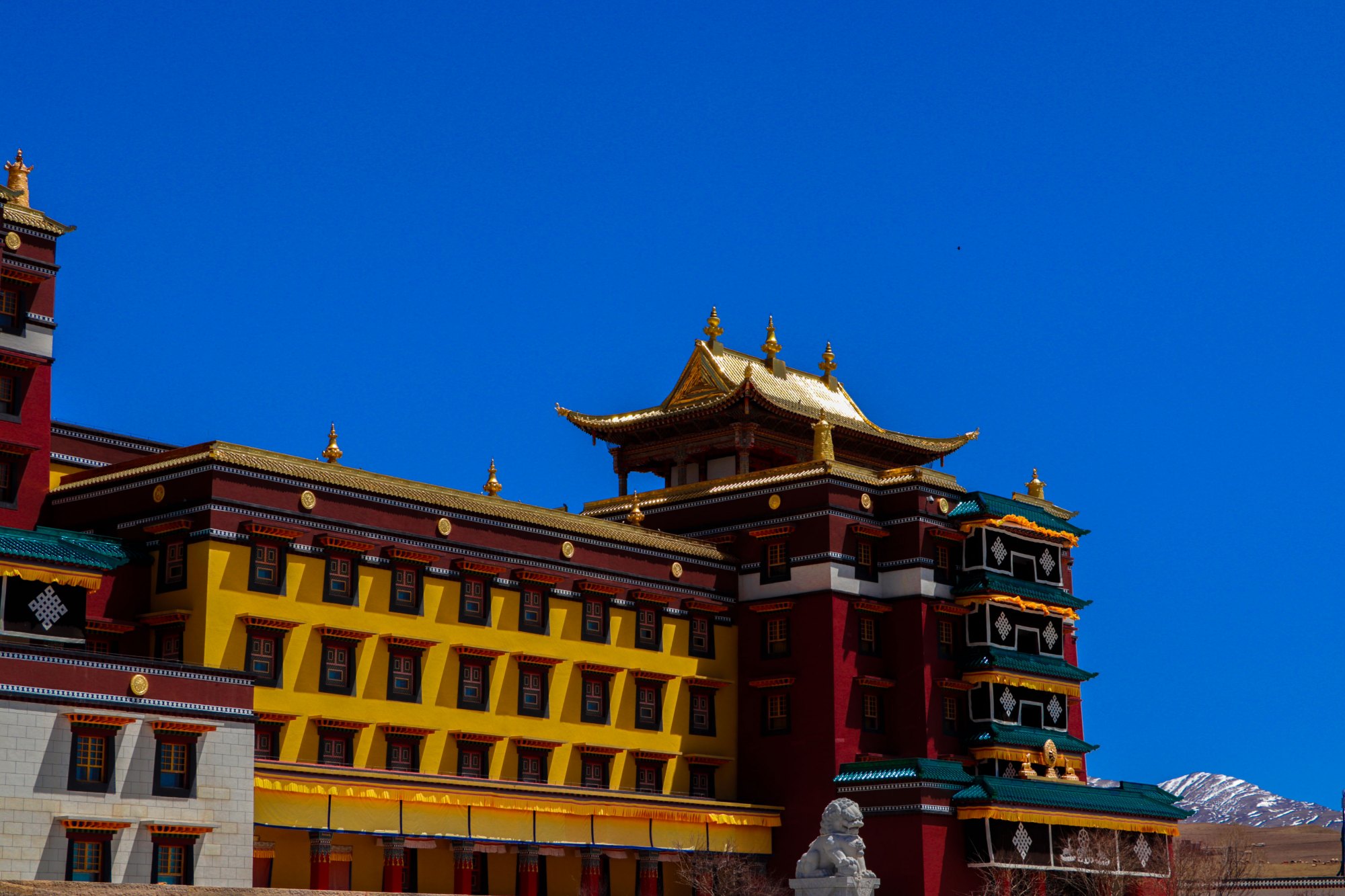 世界最大佛学院重新开放最全攻略串联川西魔兽世界藏传佛教