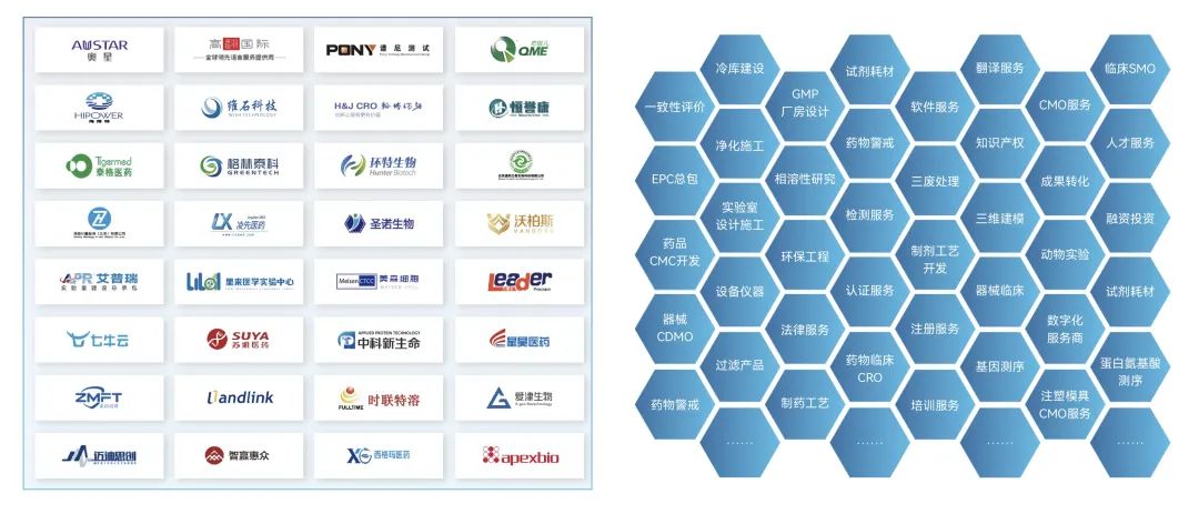 上市企业寻找胶体金检测试剂盒代工服务商