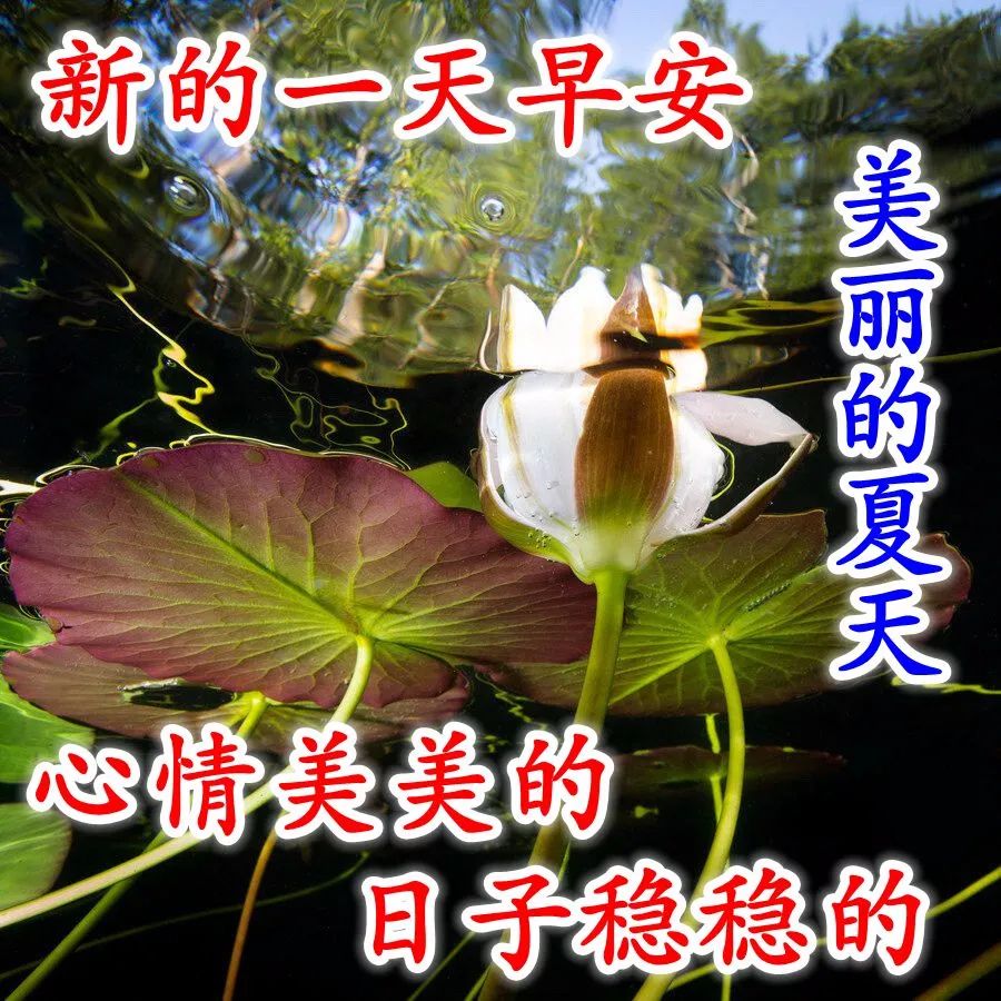 农历六月初一好看实用的早安问候图片,祝你心情美美的