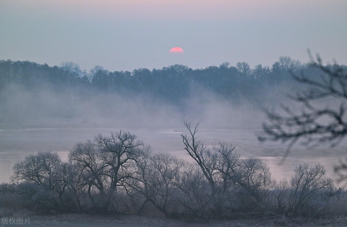 真正厉害的人,沉稳淡定,不露锋芒