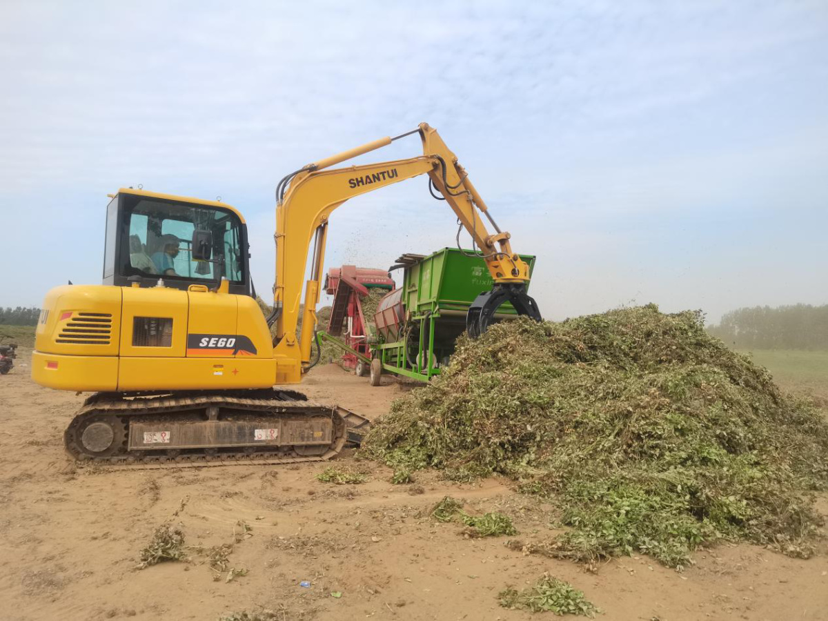 河南宝丰县李庄乡:花生秸秆变成"金"