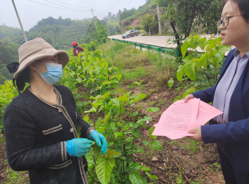 金寨槐树湾乡:"三探"聚焦民生 增添机关效能底色