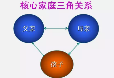 原生家庭结构图图片