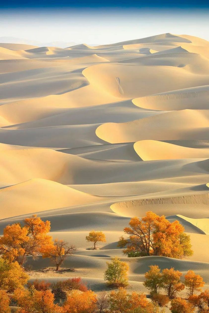 美图欣赏——壮美奇幻,中国最大沙漠塔克拉玛干大沙漠的美景