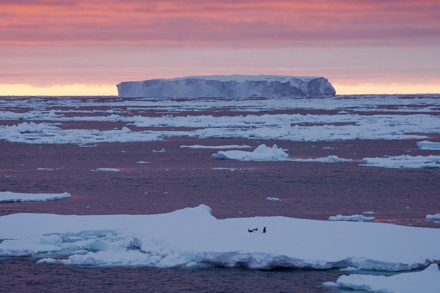 38年前他们立下遗嘱:只为将五星红旗插在南极冰原上