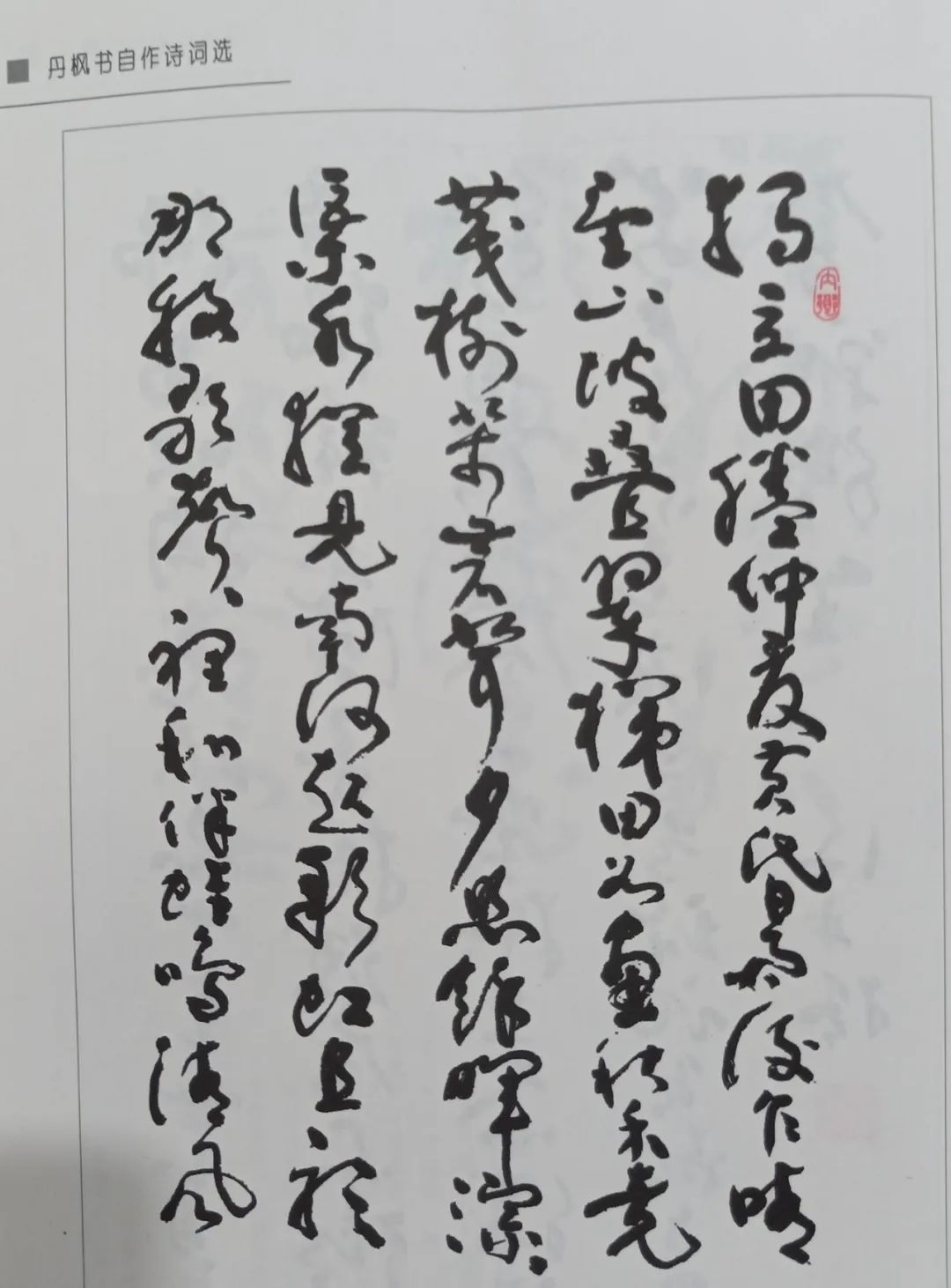 宛梆功臣谢丹枫——王国庆