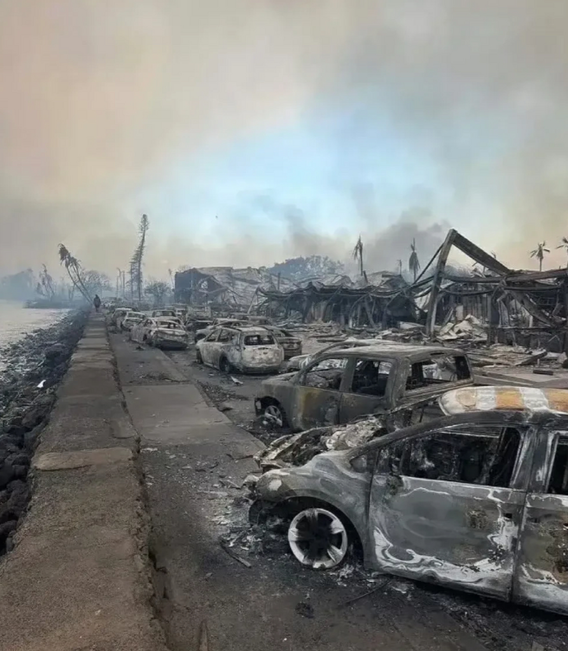 美国夏威夷州州长乔希·格林下令全面审查:究竟发生了什么?