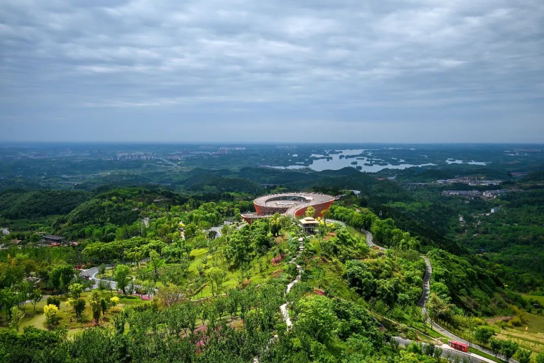 到成都龙泉山体验热气球?文旅部:安排!