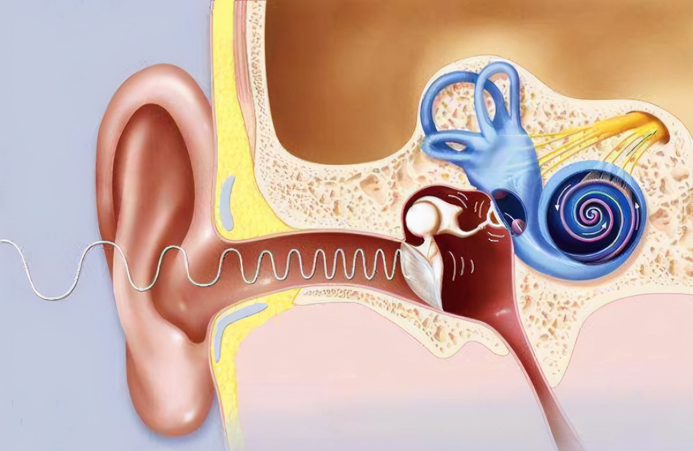 引发神经性耳鸣的因素有多种,发病率逐年上升,需引起重视