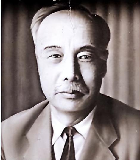 八路军炮兵创始人武亭回朝鲜后遭排挤被清算前彭总抢先接走他