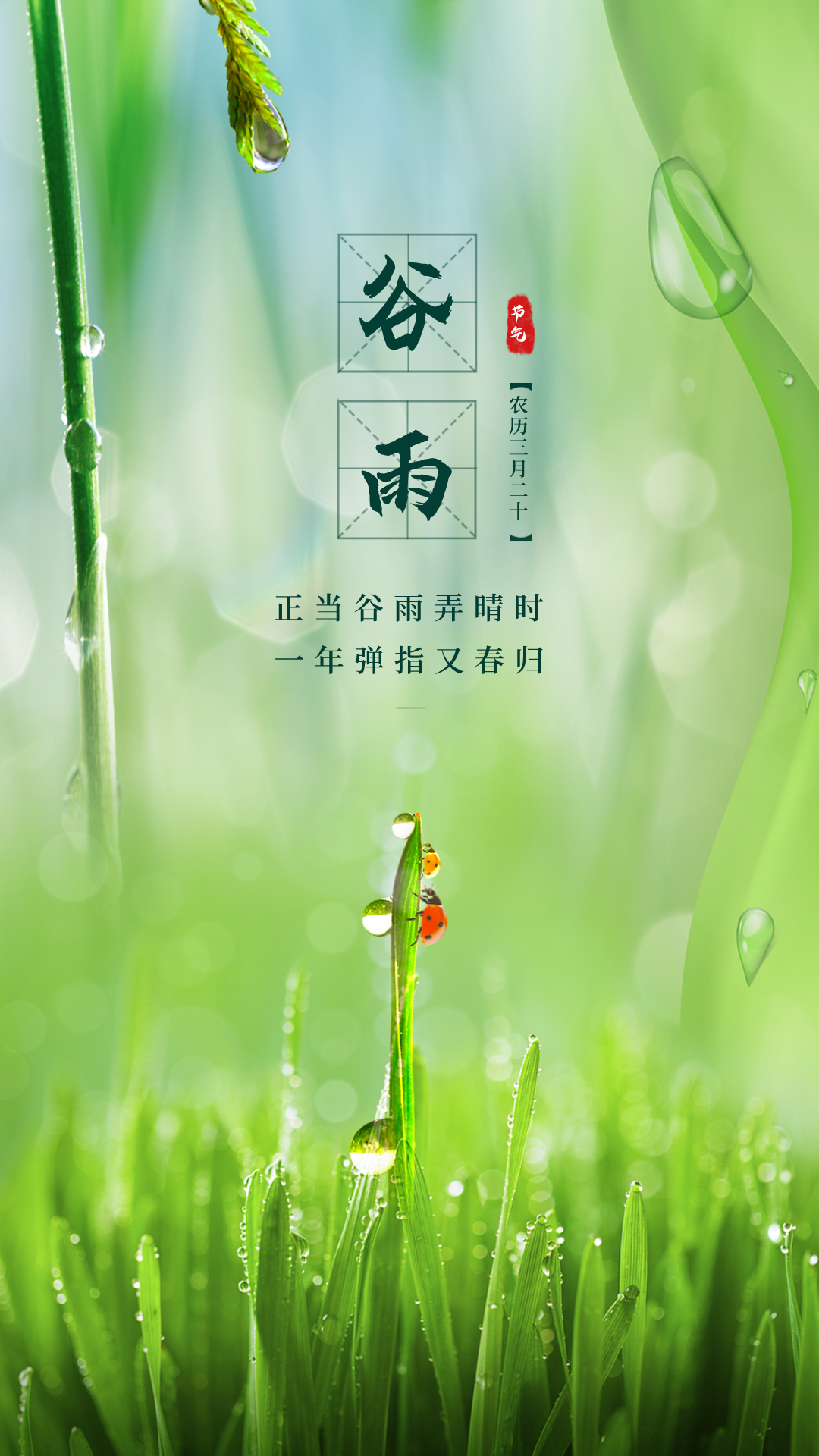 穀雨圖片配圖高清唯美帶字,穀雨朋友圈文案祝福問候語句子