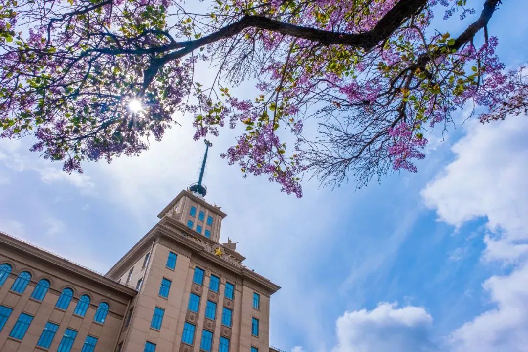 c9高校将建设新校区,还是一个中俄联合校园,占地面积超百亩