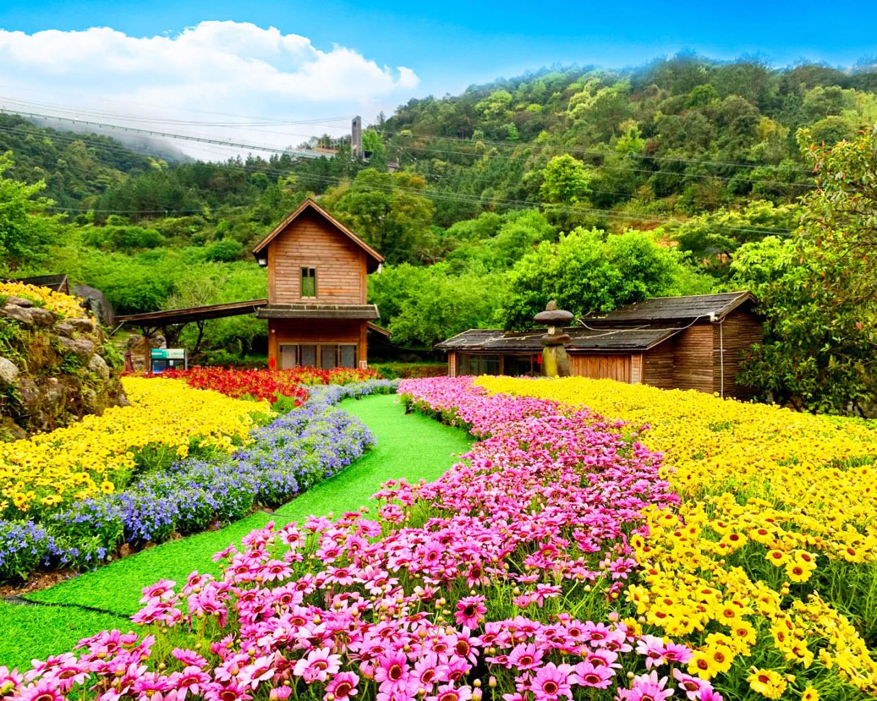 七彩梯田花谷 图源:天露山旅游度假区公众号
