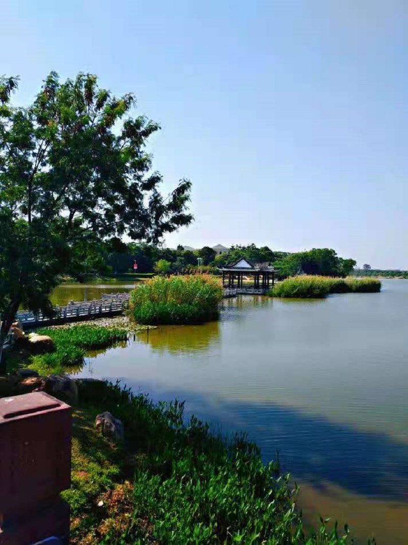 大岭山松山湖景点图片