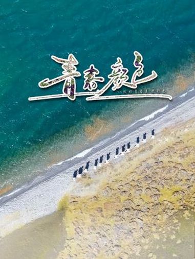 青春的颜色歌曲(青春的颜色歌曲歌词)