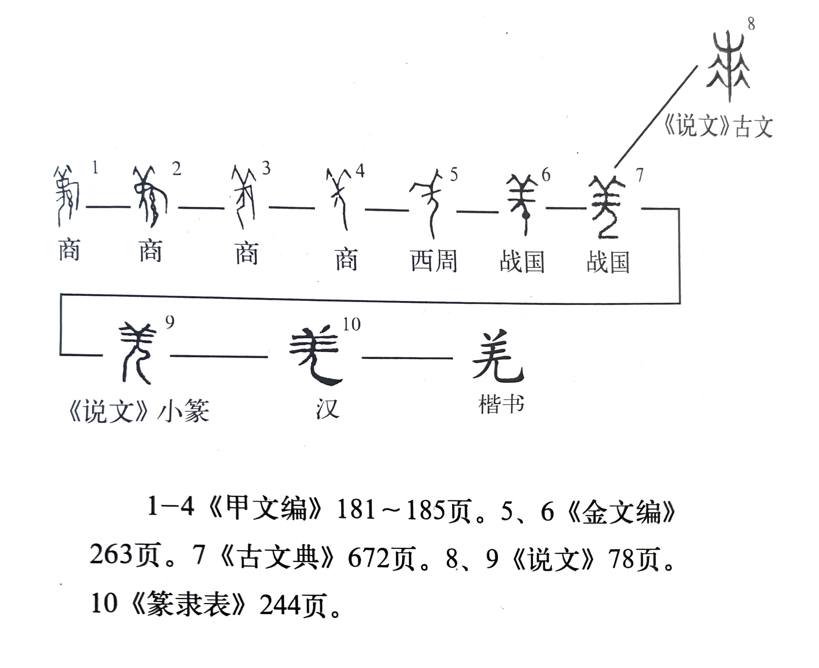 《说文解字》第729课:羌字为啥从羊?