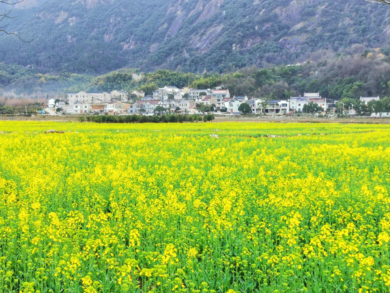 青阳县朱备镇规划图图片