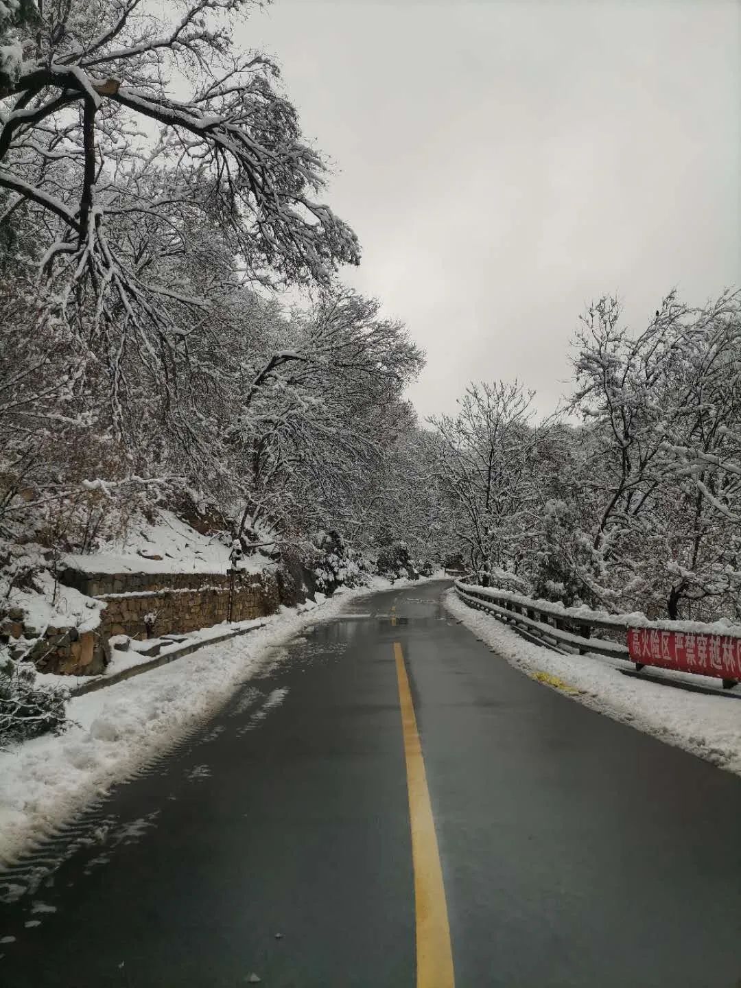 泰安雪景图片