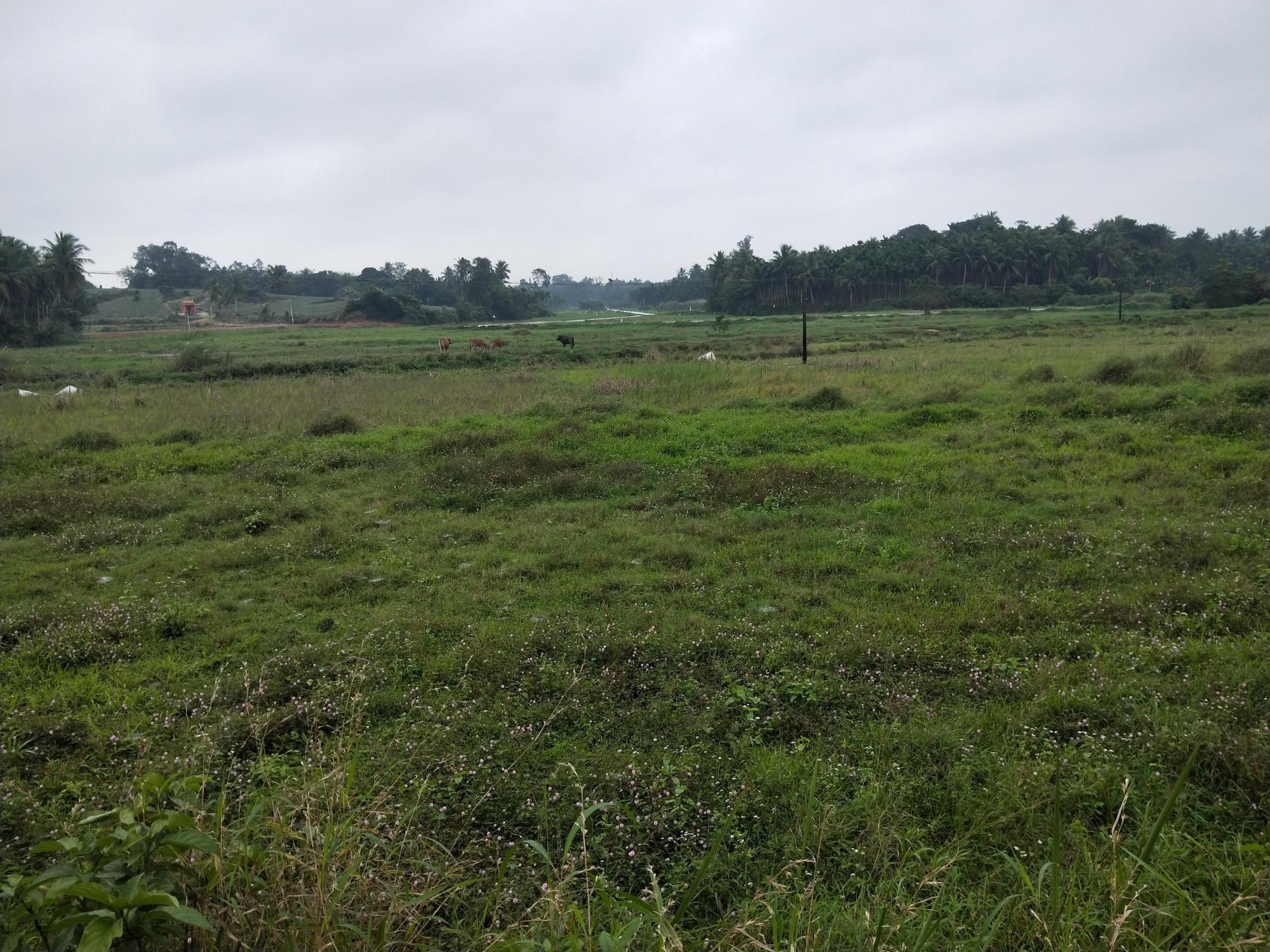 农村荒地将收回?三大问题要注意,这两类荒地将会被收回!