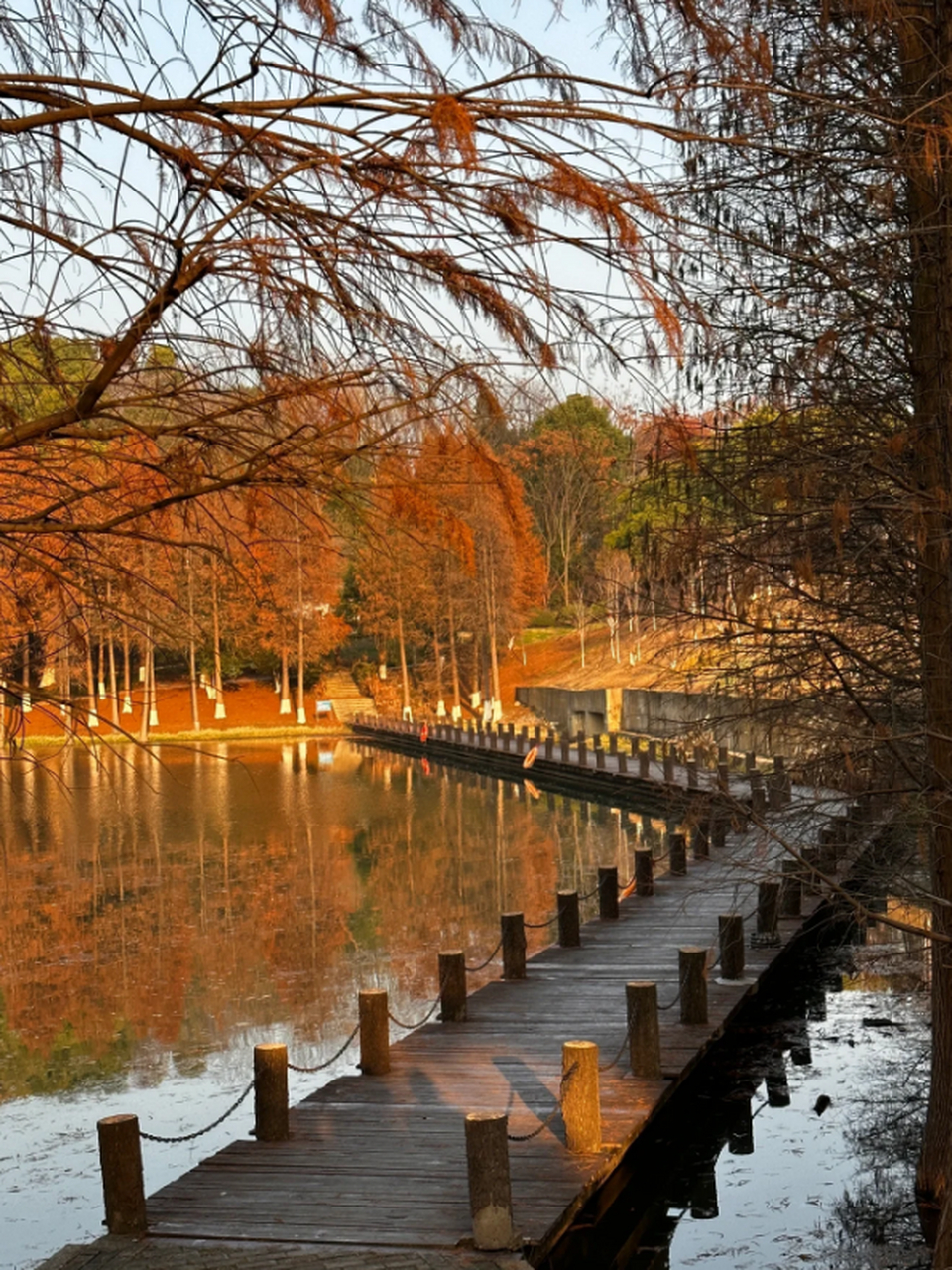探访长沙秋日宝藏拍摄地,园林生态园的美丽传说  每个季节都有它独特