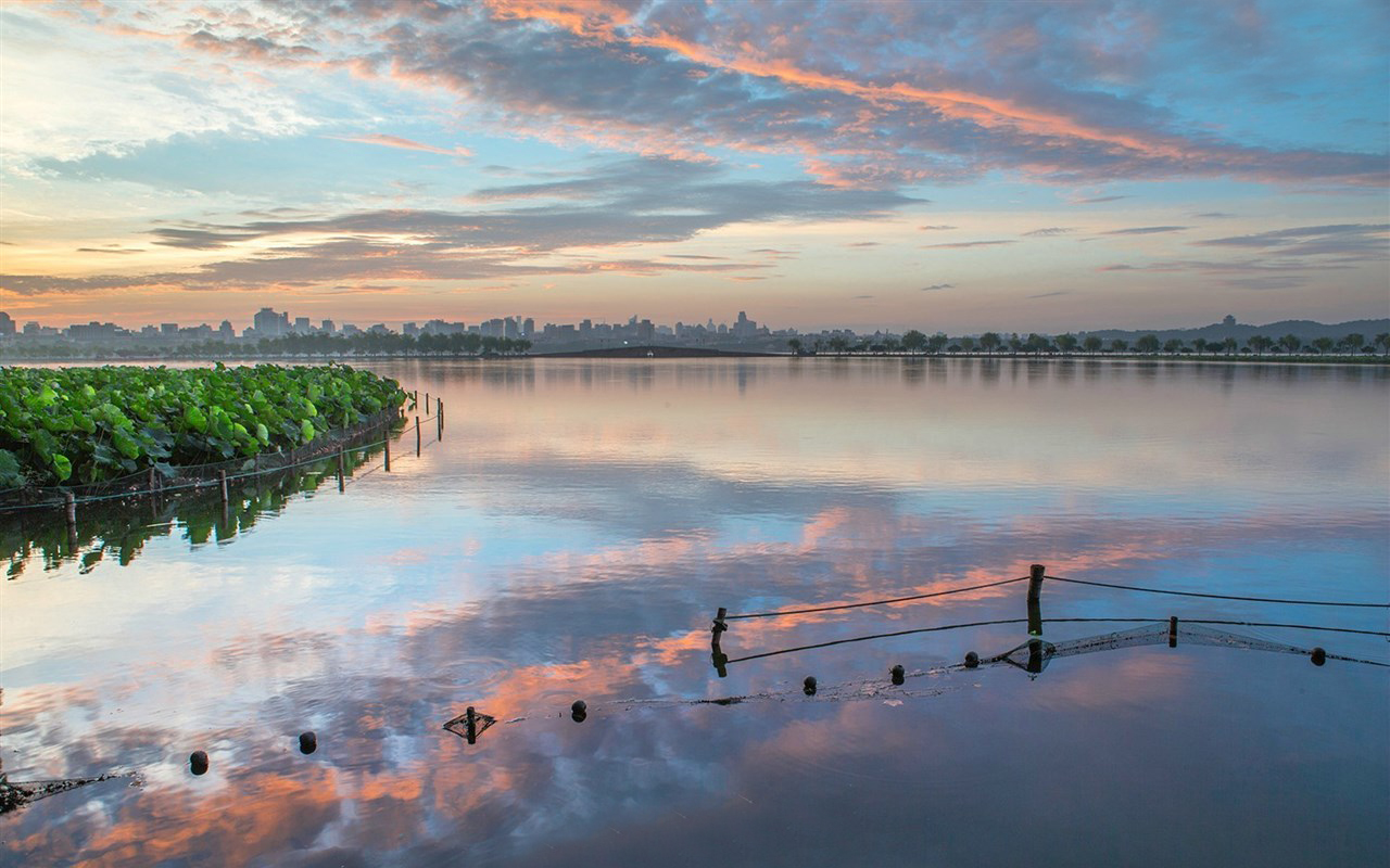 对比杭州上城区与滨江区:传统与科技的舞台对决