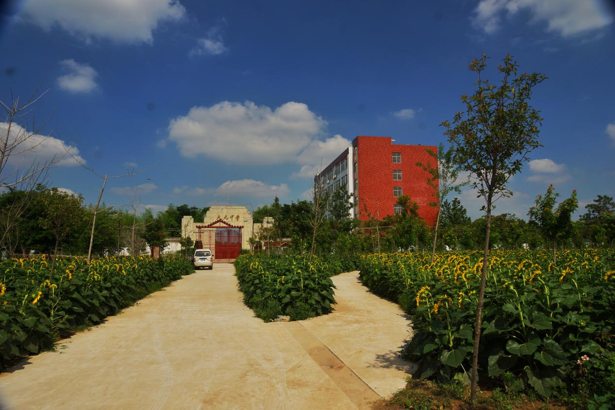 河南省虞城县:郭土楼村有个行知园,乡村旅游新名片