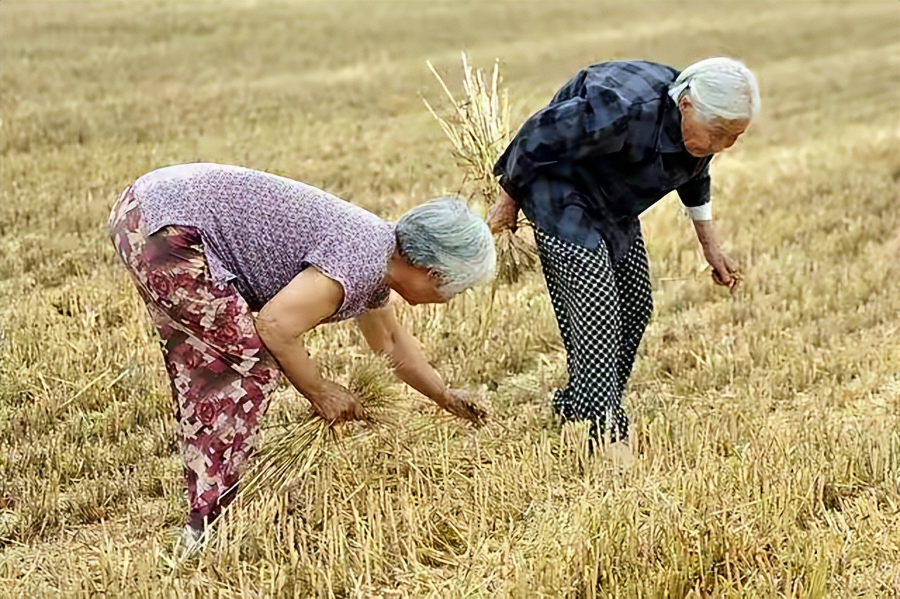 天然气"进村"受阻,为何大伙不愿意装?老农朋友道出其中原因!