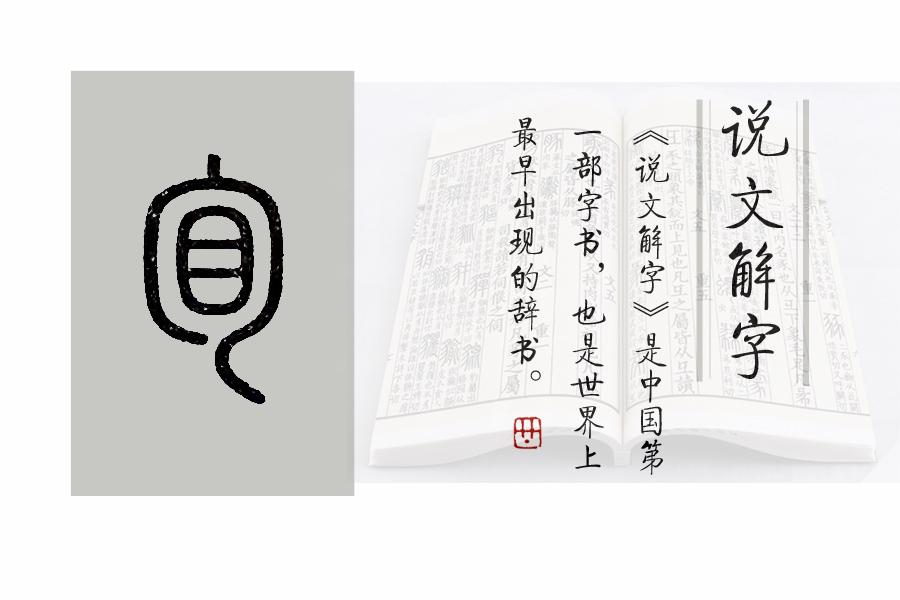 《說文解字》第650課:成語