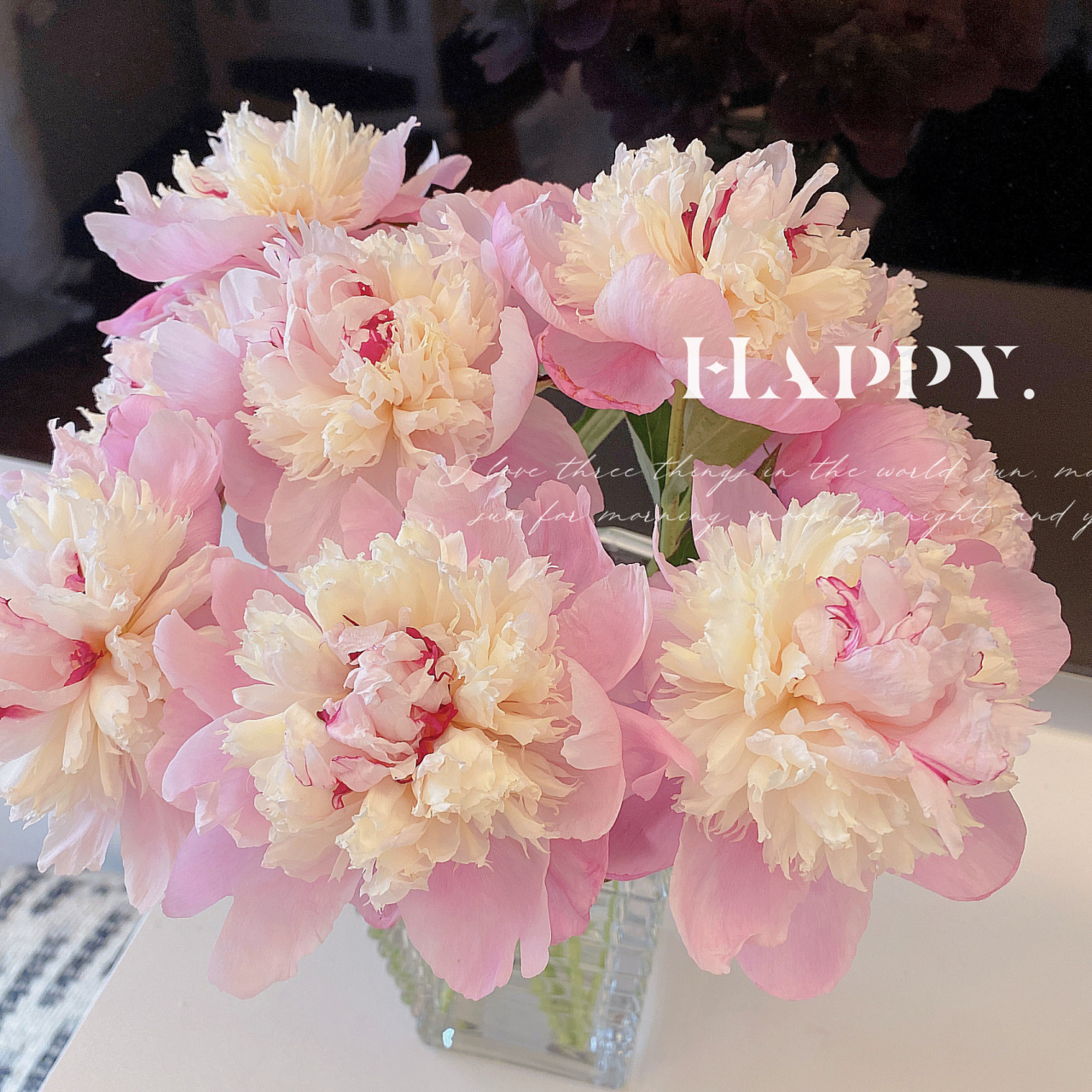 胭脂点玉.超好看的一款芍药.