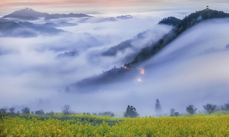 2021年春季徽州油菜花,老式泥膜鑄鐵鍋,鬥雞,徽州女人攝影