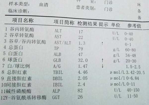 临床检查报告——血生化(肝功能)